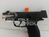 Sig Sauer P365XL